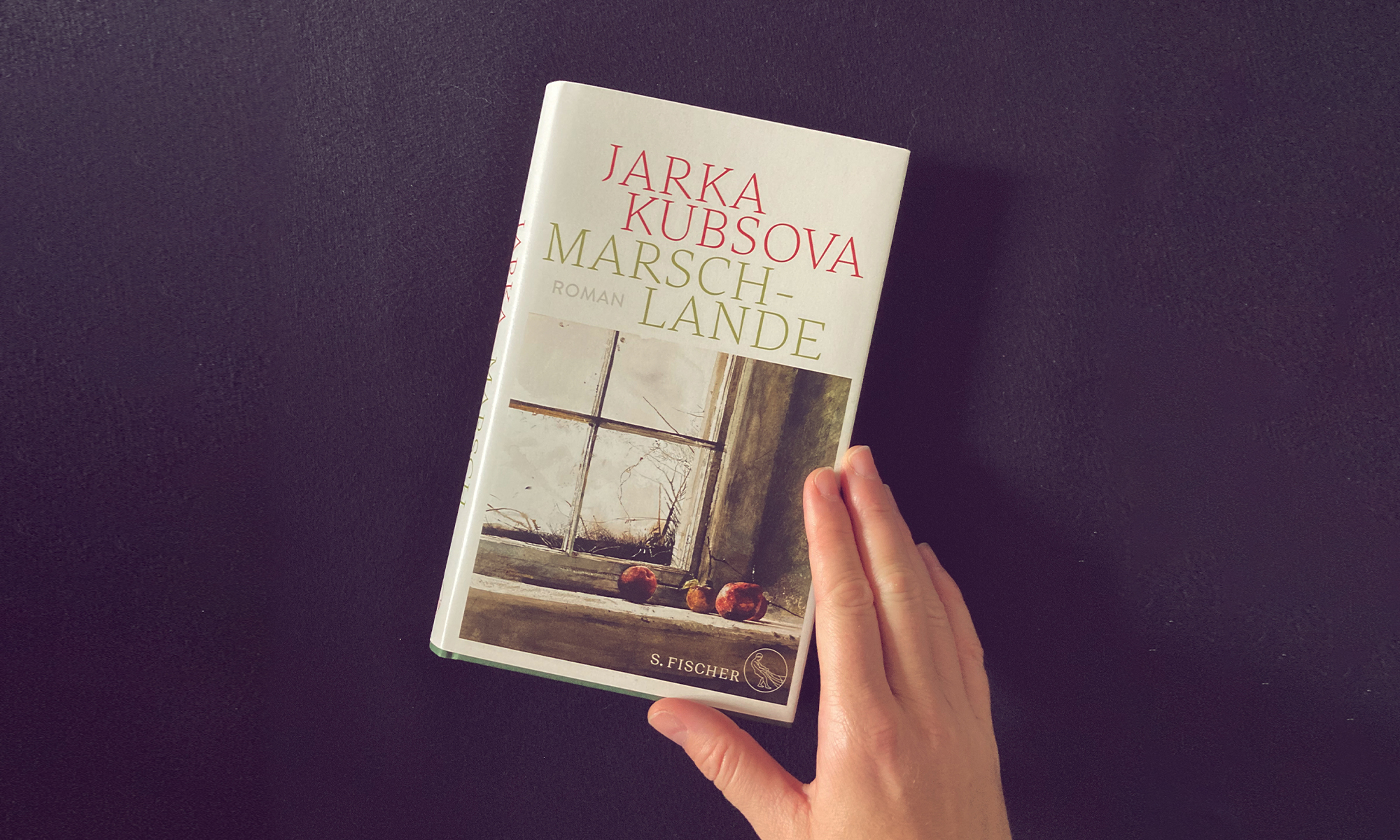 Buch- und Ausflugstipp: „Marschlande“ von Jarka Kubsova